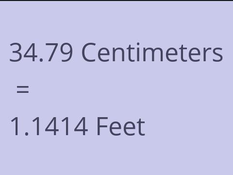 34.79 CM TO FEET