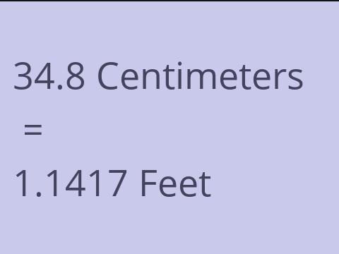 34.8 CM TO FEET