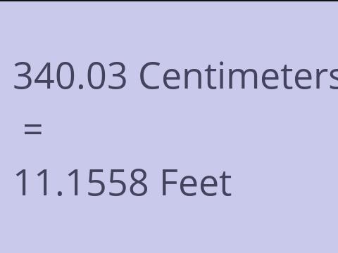 340.03 CM TO FEET