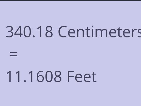 340.18 CM TO FEET