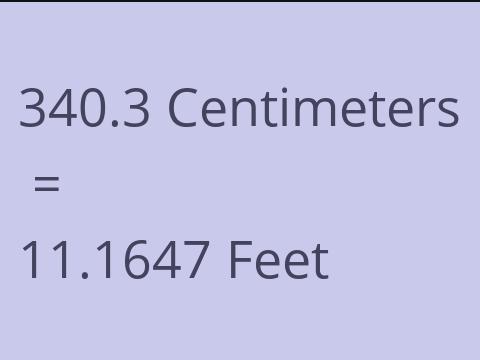 340.3 CM TO FEET