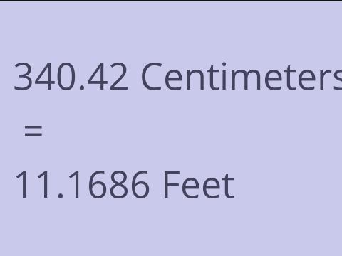 340.42 CM TO FEET