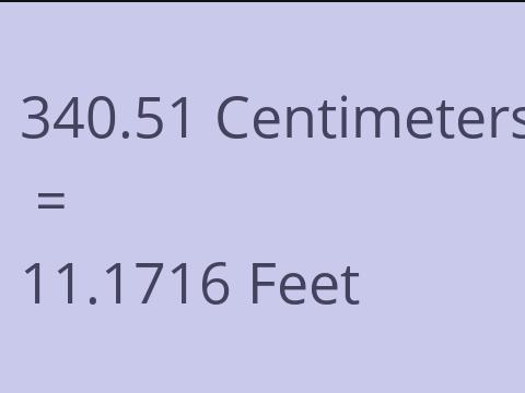 340.51 CM TO FEET