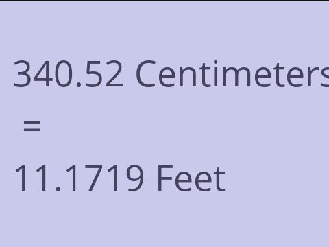 340.52 CM TO FEET