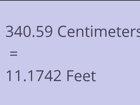 340.59 CM TO FEET