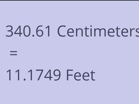 340.61 CM TO FEET