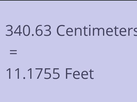 340.63 CM TO FEET