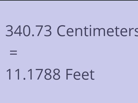 340.73 CM TO FEET