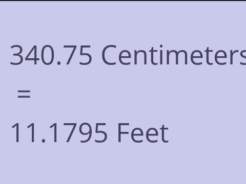 340.75 CM TO FEET