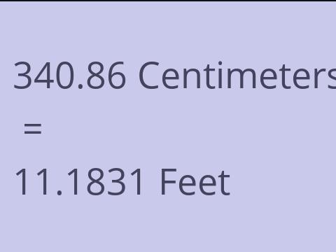 340.86 CM TO FEET