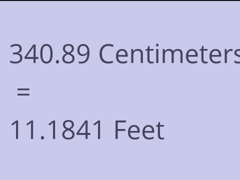 340.89 CM TO FEET