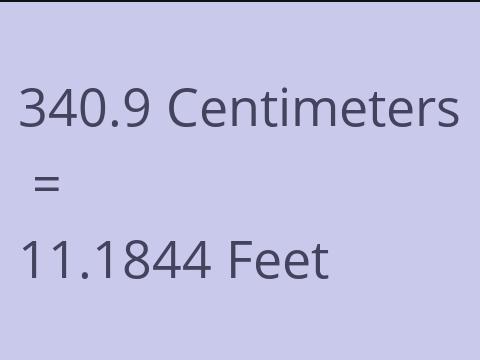 340.9 CM TO FEET