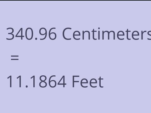 340.96 CM TO FEET