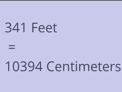 341 FEET TO CM