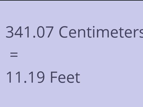 341.07 CM TO FEET