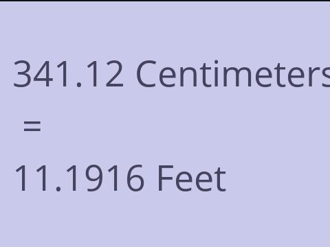 341.12 CM TO FEET