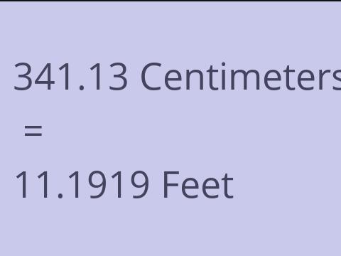 341.13 CM TO FEET