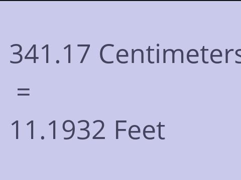 341.17 CM TO FEET