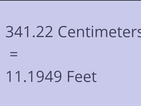 341.22 CM TO FEET