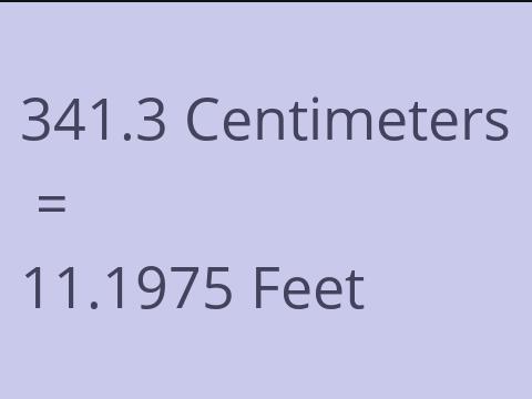 341.3 CM TO FEET