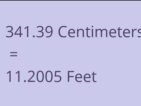 341.39 CM TO FEET