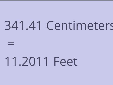 341.41 CM TO FEET