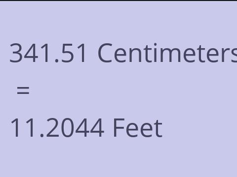 341.51 CM TO FEET