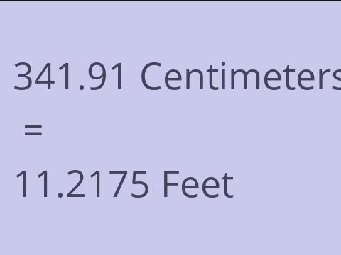 341.91 CM TO FEET