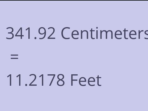 341.92 CM TO FEET