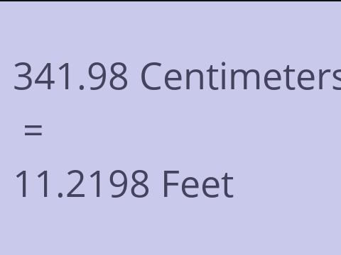 341.98 CM TO FEET