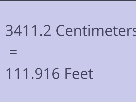 3411.2 CM TO FEET