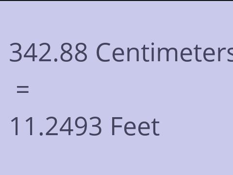 342.88 CM TO FEET