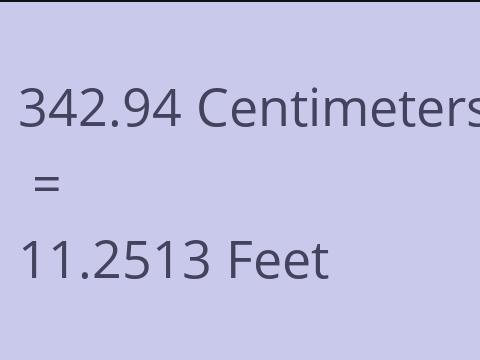 342.94 CM TO FEET