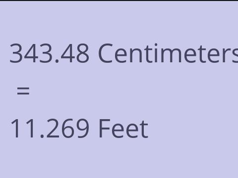 343.48 CM TO FEET