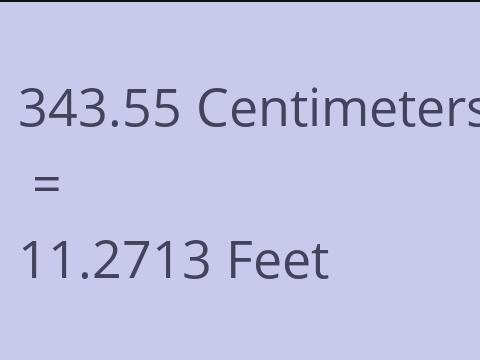 343.55 CM TO FEET