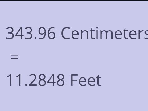 343.96 CM TO FEET