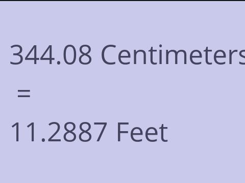 344.08 CM TO FEET