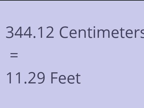 344.12 CM TO FEET