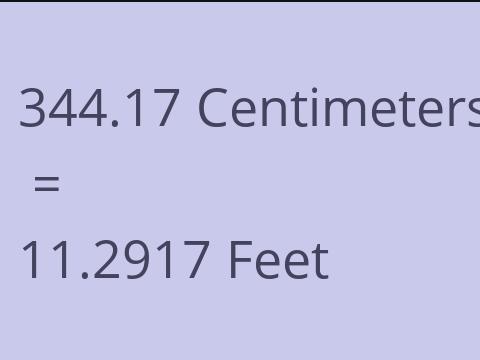 344.17 CM TO FEET