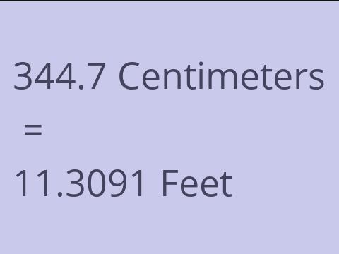 344.7 CM TO FEET