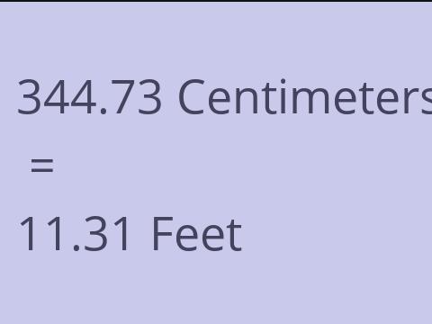 344.73 CM TO FEET