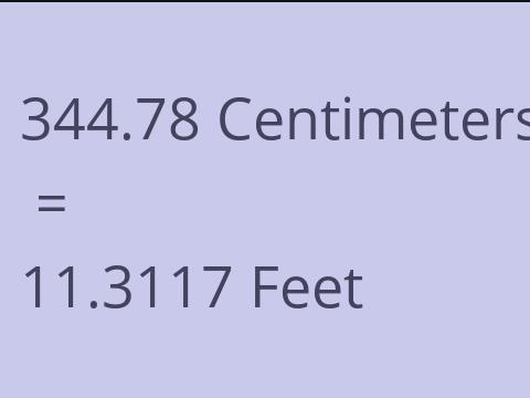 344.78 CM TO FEET