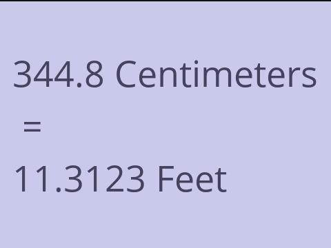 344.8 CM TO FEET