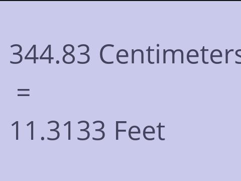 344.83 CM TO FEET