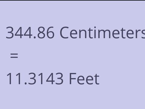 344.86 CM TO FEET