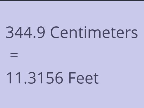 344.9 CM TO FEET