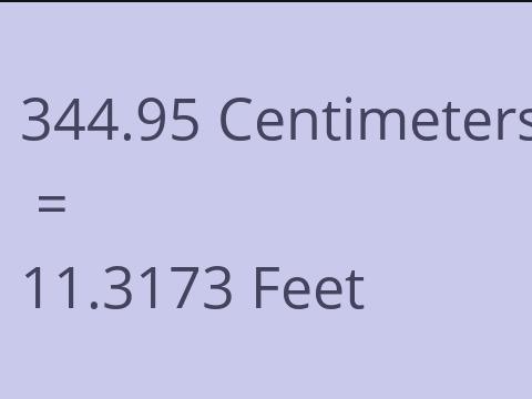 344.95 CM TO FEET