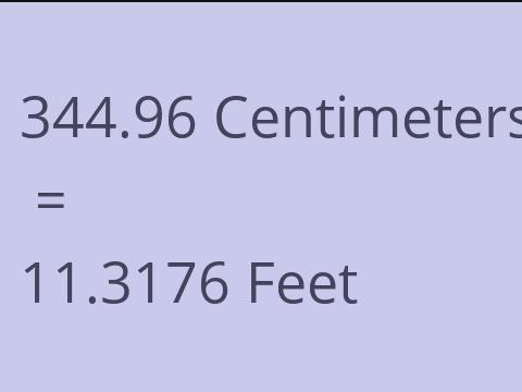 344.96 CM TO FEET