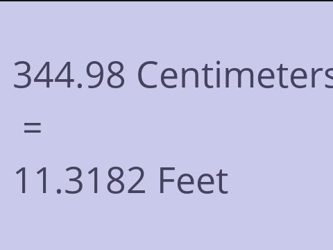 344.98 CM TO FEET