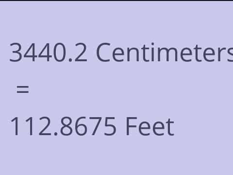 3440.2 CM TO FEET